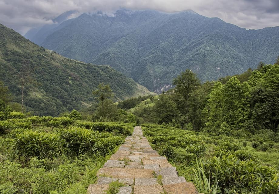 Trekking in Nepal, Poon Hill Trek, Nepal trekking, Annapurna circuit, annapurna trek, nepal tour995436