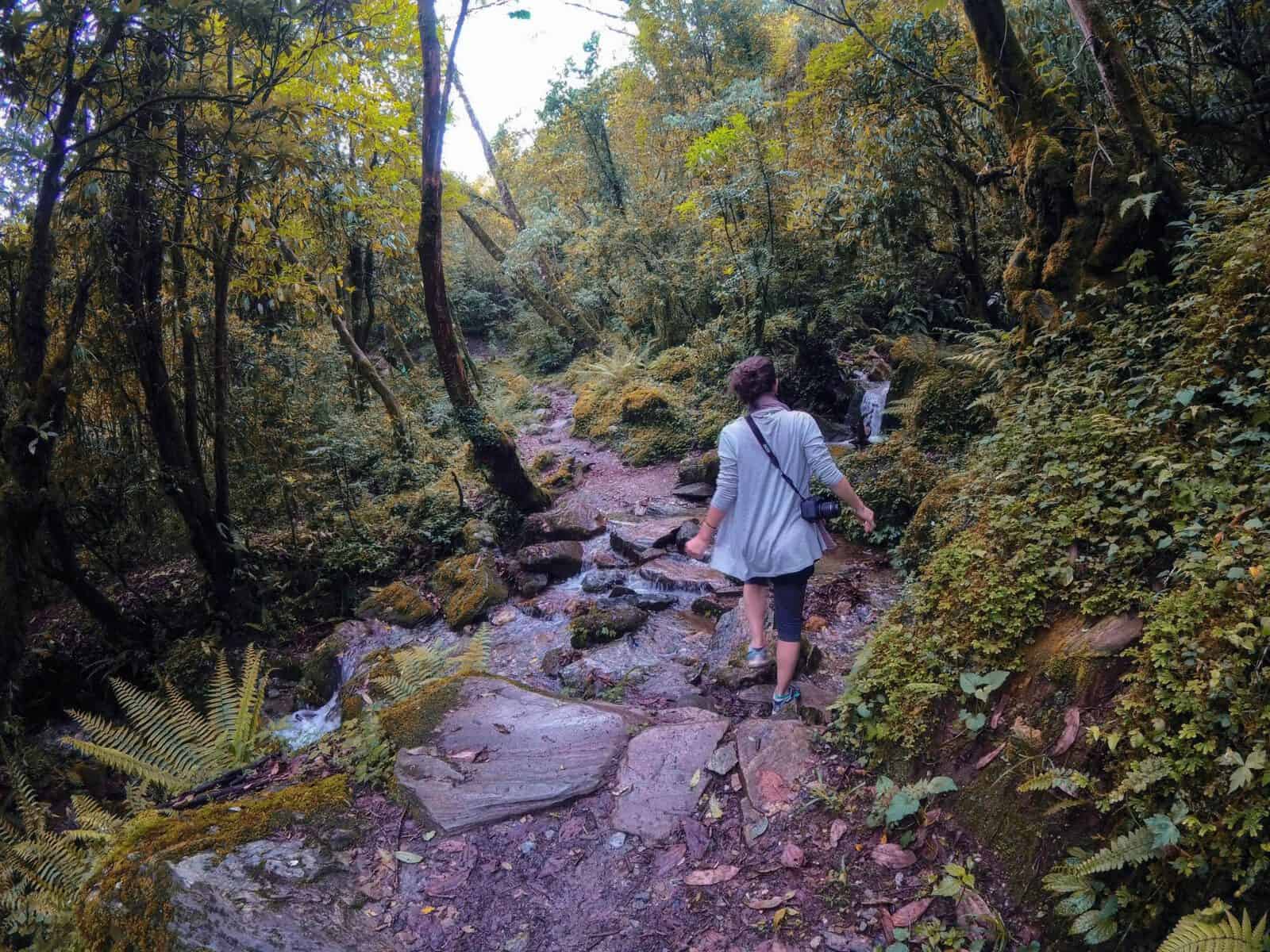 Trekking in Nepal, Poon Hill Trek, Nepal trekking, Annapurna circuit, annapurna trek, nepal tour995436