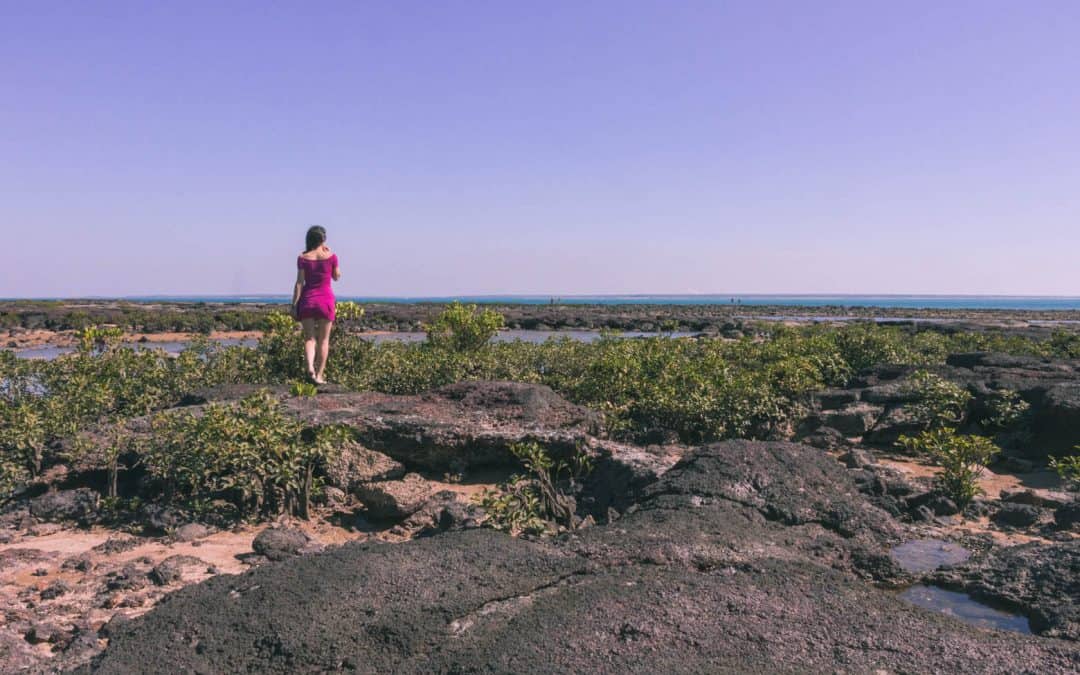 An American Expat: Working and Living in Darwin, Australia