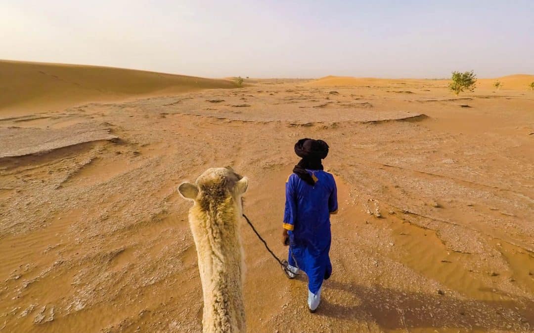 21+ Phenomenal Morocco Tours: Adventures, Desert Getaways, & More